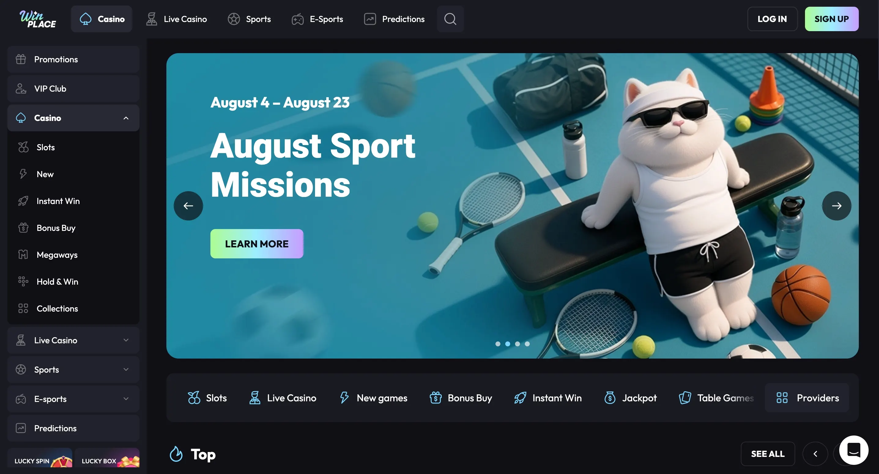 Winplace screenshot